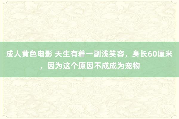 成人黄色电影 天生有着一副浅笑容，身长60厘米，因为这个原因不成成为宠物