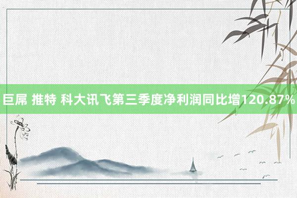 巨屌 推特 科大讯飞第三季度净利润同比增120.87%