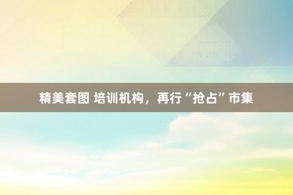 精美套图 培训机构，再行“抢占”市集