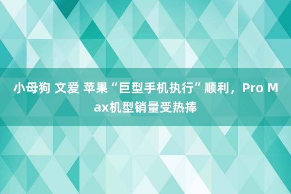小母狗 文爱 苹果“巨型手机执行”顺利，Pro Max机型销量受热捧