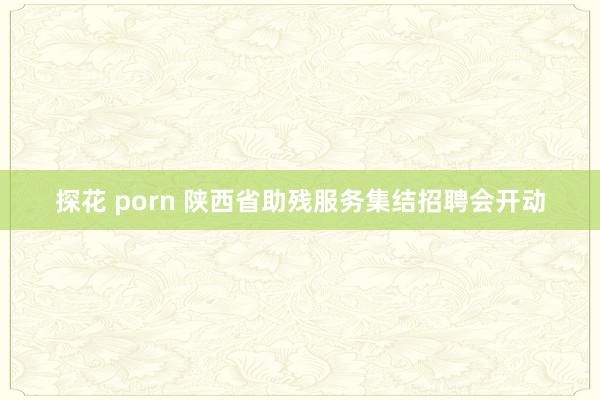 探花 porn 陕西省助残服务集结招聘会开动