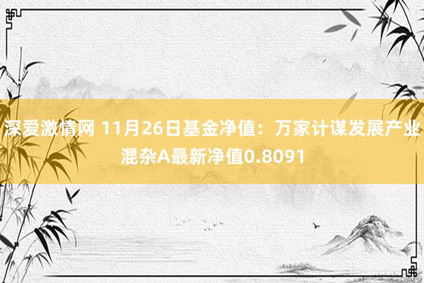 深爱激情网 11月26日基金净值：万家计谋发展产业混杂A最新净值0.8091