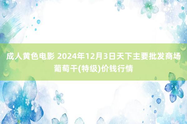 成人黄色电影 2024年12月3日天下主要批发商场葡萄干(特级)价钱行情