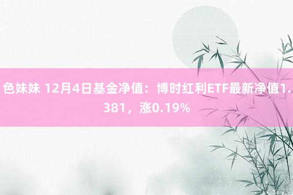 色妹妹 12月4日基金净值：博时红利ETF最新净值1.381，涨0.19%