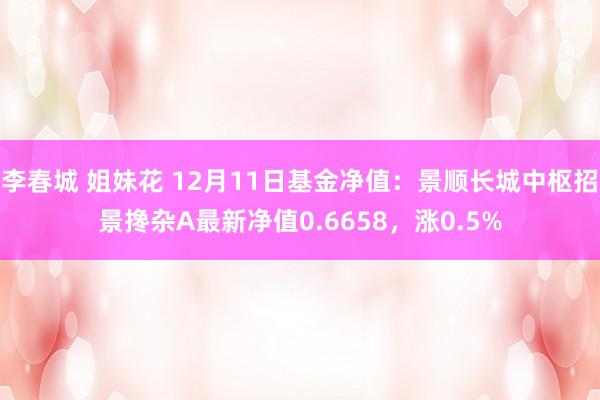 李春城 姐妹花 12月11日基金净值：景顺长城中枢招景搀杂A最新净值0.6658，涨0.5%