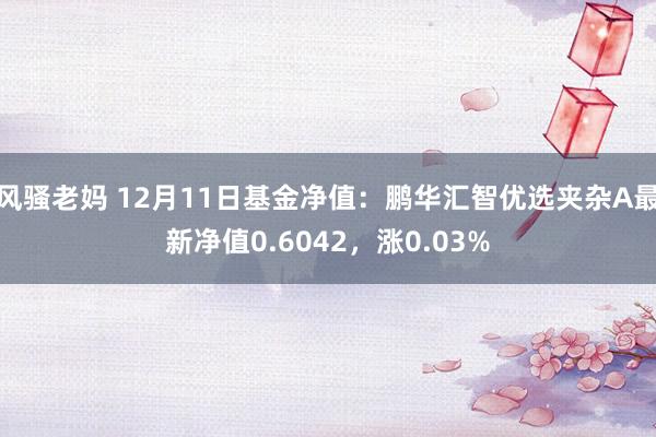 风骚老妈 12月11日基金净值：鹏华汇智优选夹杂A最新净值0.6042，涨0.03%