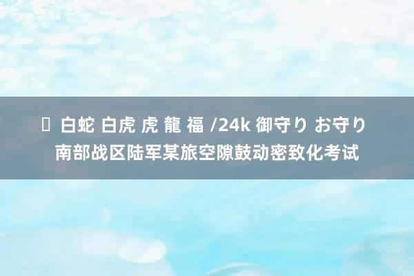 ✨白蛇 白虎 虎 龍 福 /24k 御守り お守り 南部战区陆军某旅空隙鼓动密致化考试