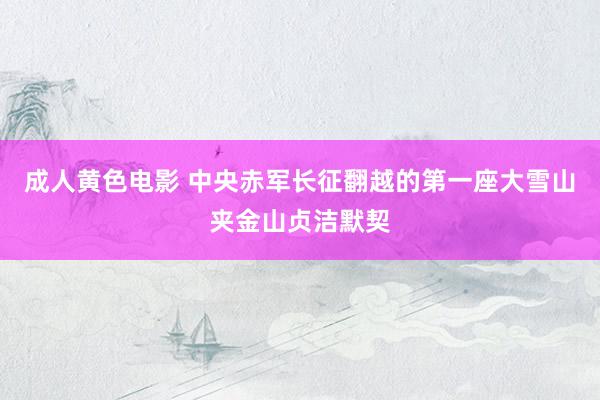 成人黄色电影 中央赤军长征翻越的第一座大雪山夹金山贞洁默契