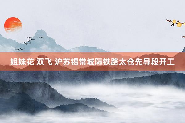 姐妹花 双飞 沪苏锡常城际铁路太仓先导段开工