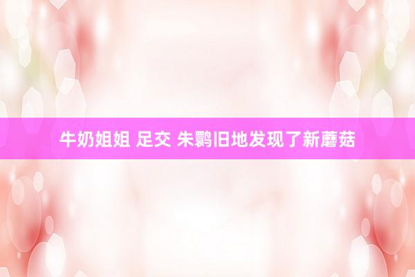 牛奶姐姐 足交 朱鹮旧地发现了新蘑菇