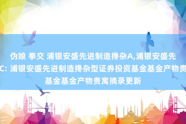 伪娘 拳交 浦银安盛先进制造搀杂A,浦银安盛先进制造搀杂C: 浦银安盛先进制造搀杂型证券投资基金基金产物贵寓摘录更新