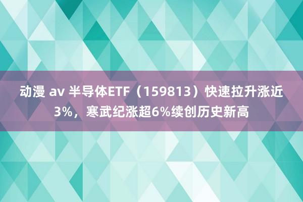 动漫 av 半导体ETF（159813）快速拉升涨近3%，寒武纪涨超6%续创历史新高