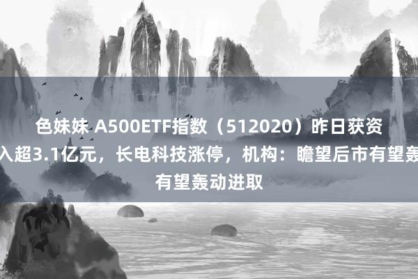 色妹妹 A500ETF指数（512020）昨日获资金净流入超3.1亿元，长电科技涨停，机构：瞻望后市有望轰动进取