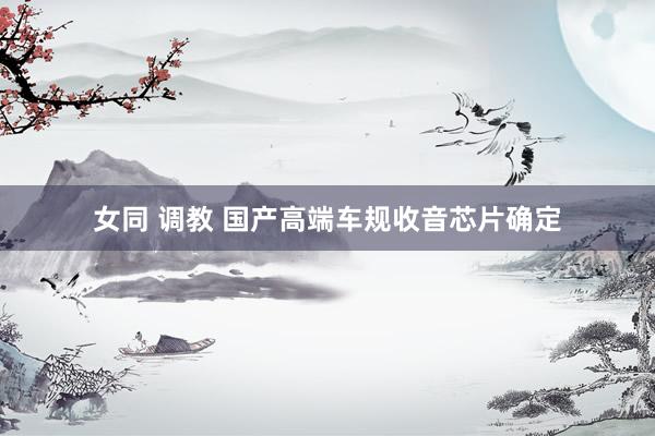 女同 调教 国产高端车规收音芯片确定