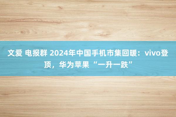 文爱 电报群 2024年中国手机市集回暖：vivo登顶，华为苹果 “一升一跌”