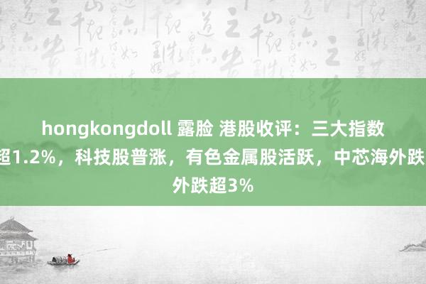 hongkongdoll 露脸 港股收评：三大指数均涨超1.2%，科技股普涨，有色金属股活跃，中芯海外跌超3%