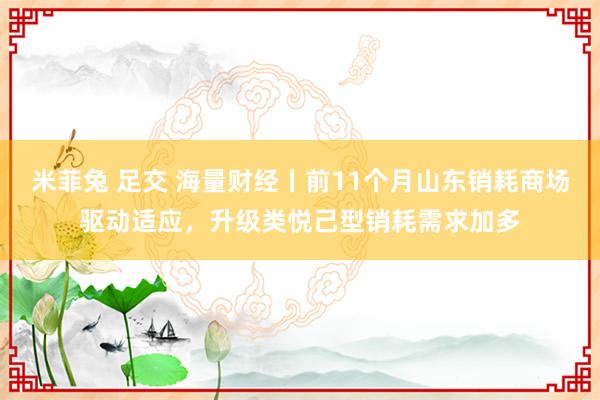 米菲兔 足交 海量财经丨前11个月山东销耗商场驱动适应，升级类悦己型销耗需求加多