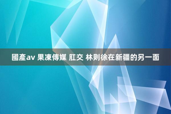 國產av 果凍傳媒 肛交 林则徐在新疆的另一面