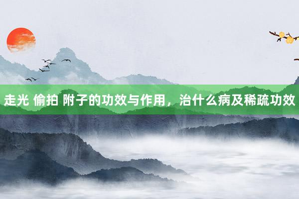 走光 偷拍 附子的功效与作用，治什么病及稀疏功效