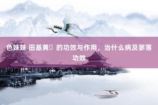 色妹妹 田基黄​的功效与作用，治什么病及寥落功效