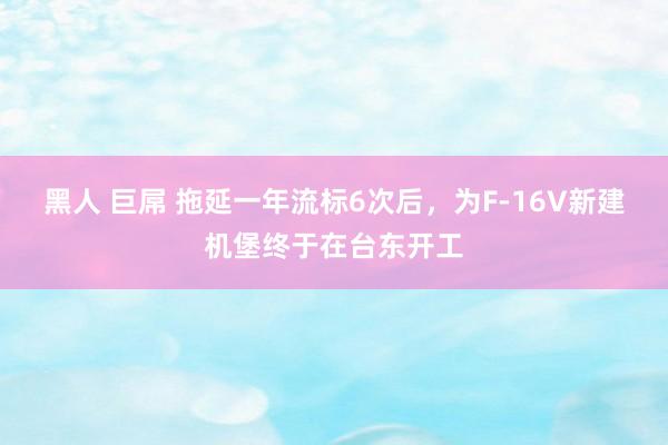 黑人 巨屌 拖延一年流标6次后，为F-16V新建机堡终于在台东开工