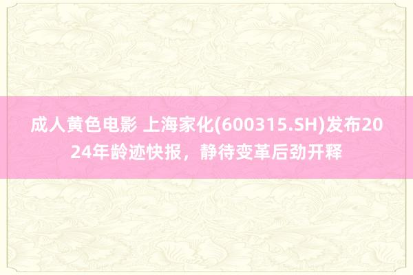 成人黄色电影 上海家化(600315.SH)发布2024年龄迹快报，静待变革后劲开释