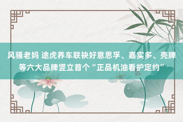 风骚老妈 途虎养车联袂好意思孚、嘉实多、壳牌等六大品牌竖立首个“正品机油看护定约”