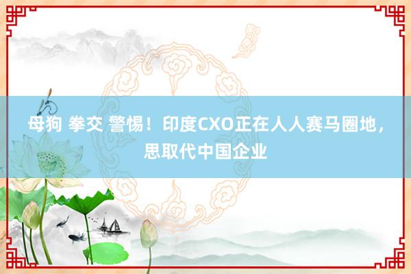 母狗 拳交 警惕！印度CXO正在人人赛马圈地，思取代中国企业