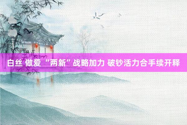 白丝 做爱 “两新”战略加力 破钞活力合手续开释