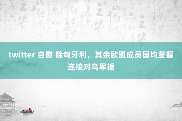 twitter 自慰 除匈牙利，其余欧盟成员国均坚握连接对乌军援