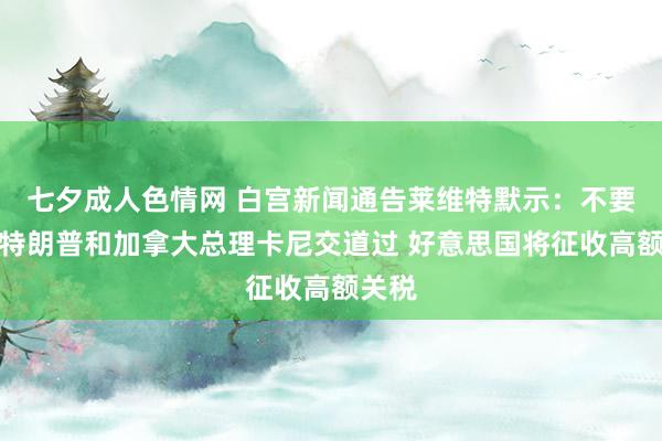 七夕成人色情网 白宫新闻通告莱维特默示：不要信服特朗普和加拿大总理卡尼交道过 好意思国将征收高额关税