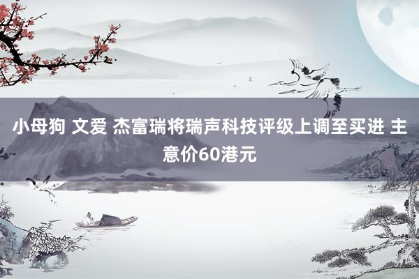 小母狗 文爱 杰富瑞将瑞声科技评级上调至买进 主意价60港元