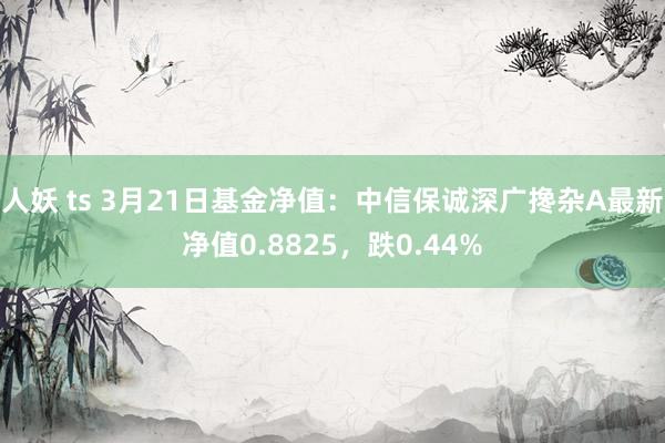 人妖 ts 3月21日基金净值：中信保诚深广搀杂A最新净值0.8825，跌0.44%