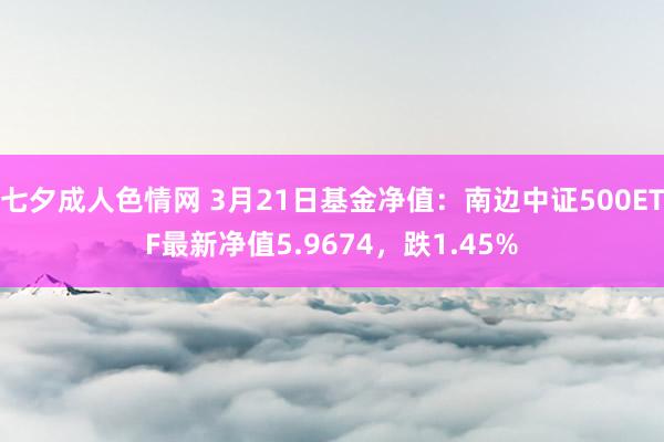 七夕成人色情网 3月21日基金净值：南边中证500ETF最新净值5.9674，跌1.45%