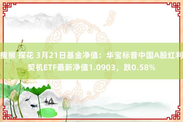 瘦猴 探花 3月21日基金净值：华宝标普中国A股红利契机ETF最新净值1.0903，跌0.58%