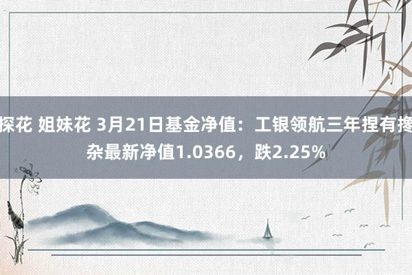 探花 姐妹花 3月21日基金净值：工银领航三年捏有搀杂最新净值1.0366，跌2.25%