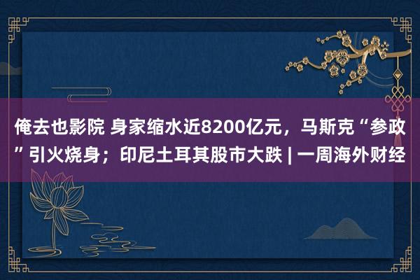 俺去也影院 身家缩水近8200亿元，马斯克“参政”引火烧身；印尼土耳其股市大跌 | 一周海外财经