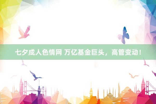 七夕成人色情网 万亿基金巨头，高管变动！