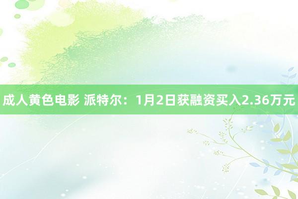 成人黄色电影 派特尔：1月2日获融资买入2.36万元