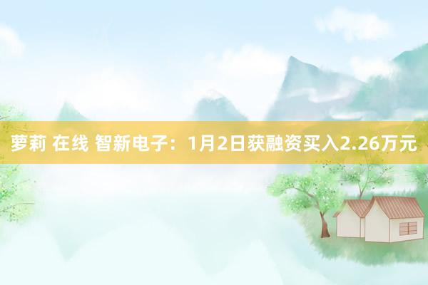 萝莉 在线 智新电子：1月2日获融资买入2.26万元