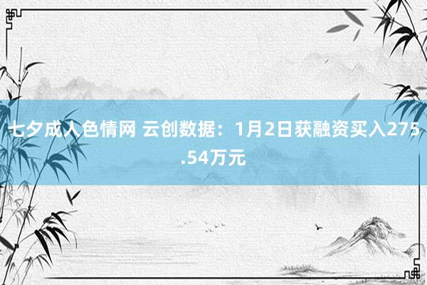 七夕成人色情网 云创数据：1月2日获融资买入275.54万元
