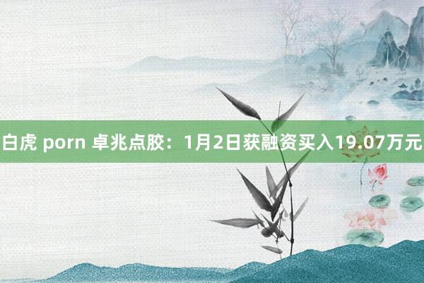 白虎 porn 卓兆点胶：1月2日获融资买入19.07万元