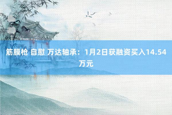 筋膜枪 自慰 万达轴承：1月2日获融资买入14.54万元
