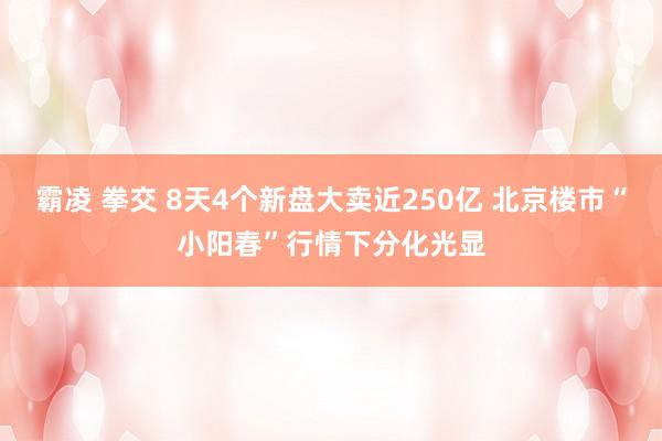霸凌 拳交 8天4个新盘大卖近250亿 北京楼市“小阳春”行情下分化光显