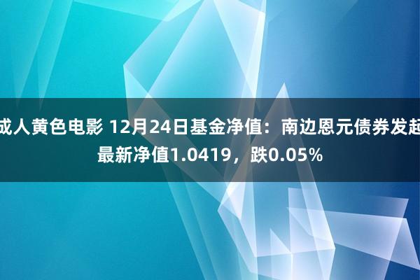 成人黄色电影 12月24日基金净值：南边恩元债券发起最新净值1.0419，跌0.05%