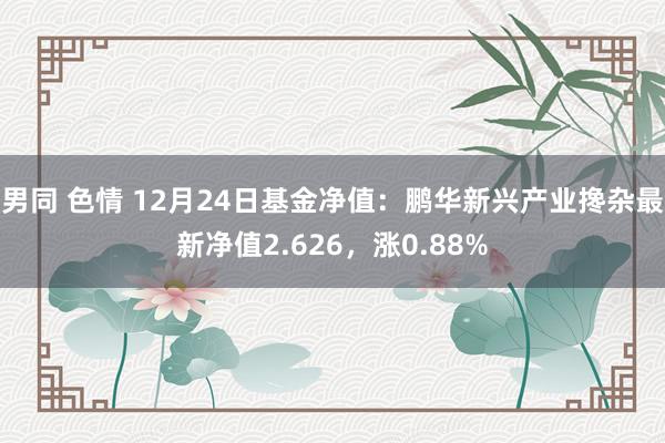 男同 色情 12月24日基金净值：鹏华新兴产业搀杂最新净值2.626，涨0.88%