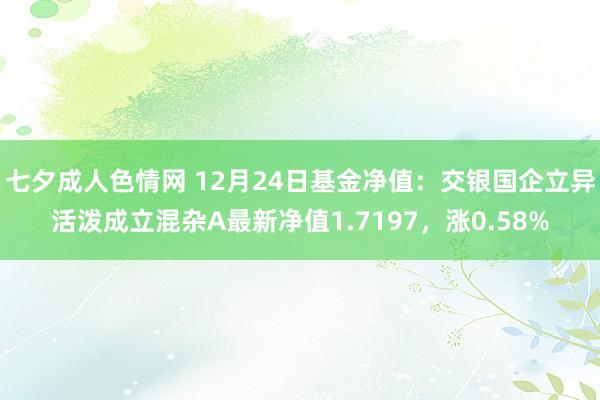 七夕成人色情网 12月24日基金净值：交银国企立异活泼成立混杂A最新净值1.7197，涨0.58%