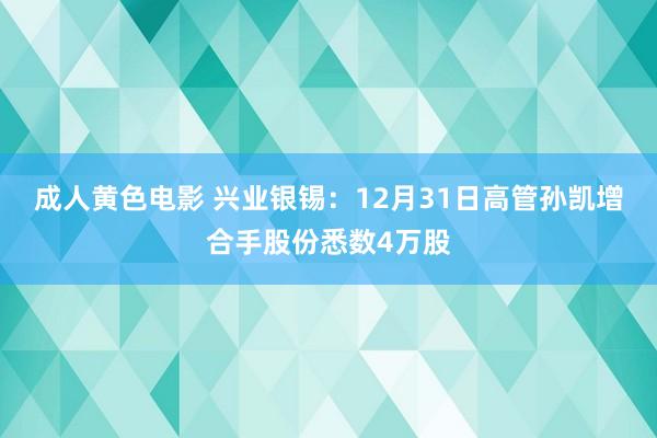 成人黄色电影 兴业银锡：12月31日高管孙凯增合手股份悉数4万股