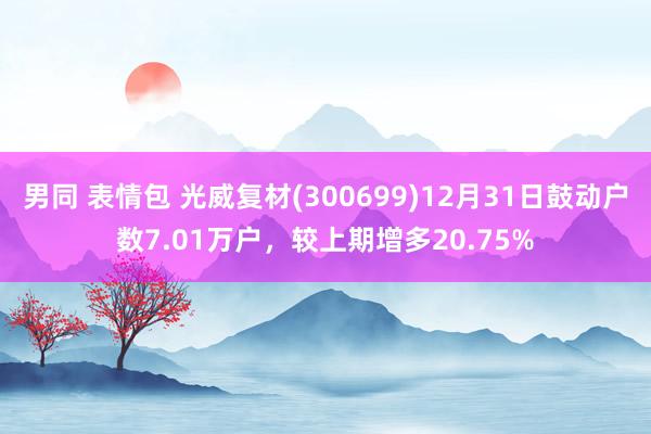 男同 表情包 光威复材(300699)12月31日鼓动户数7.01万户，较上期增多20.75%