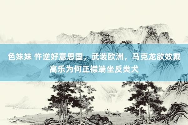 色妹妹 忤逆好意思国，武装欧洲，马克龙欲效戴高乐为何正襟端坐反类犬